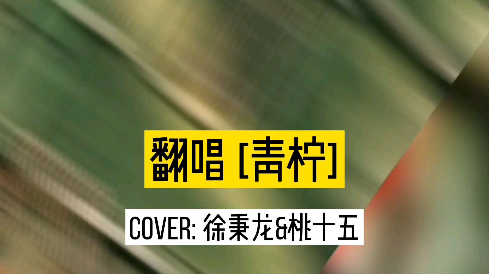 当逗币开始慢慢出街。。。